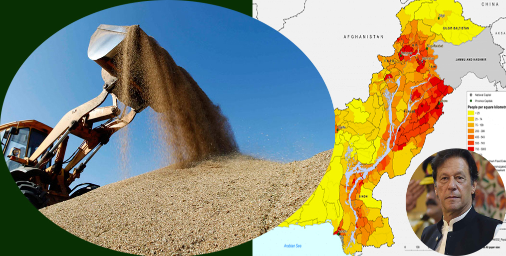 Pakistan will import 300,000 tons of wheat to meet the crisis