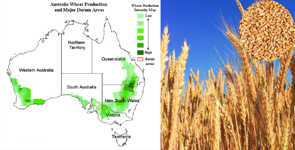 Australia's wheat production has declined