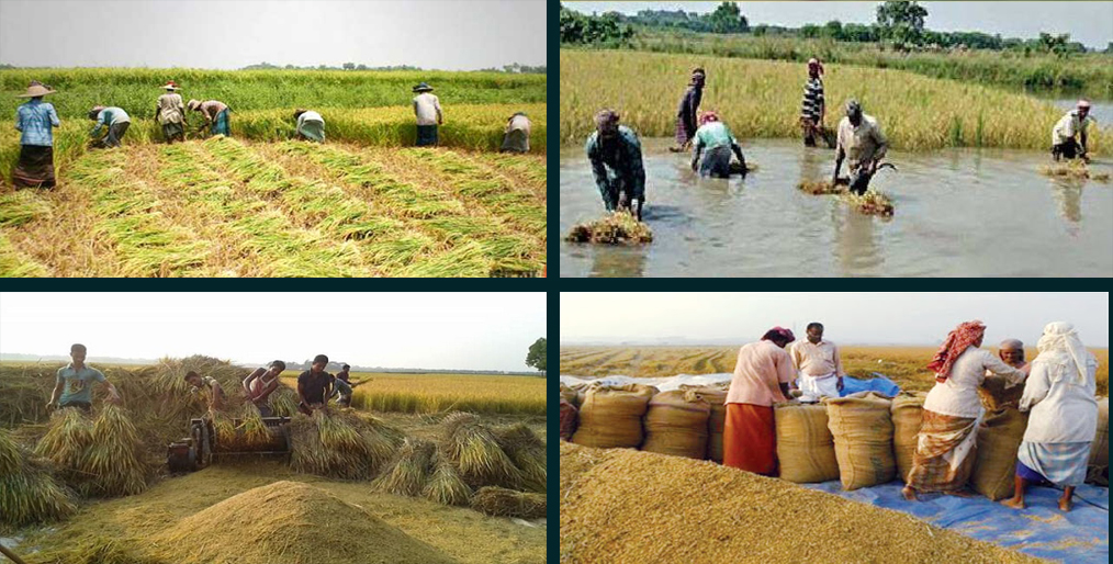 Tk. 22,000 cr worth of crop loss in value chain management