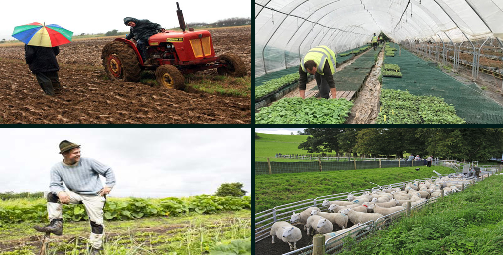 Farmers work overtime with stressful times