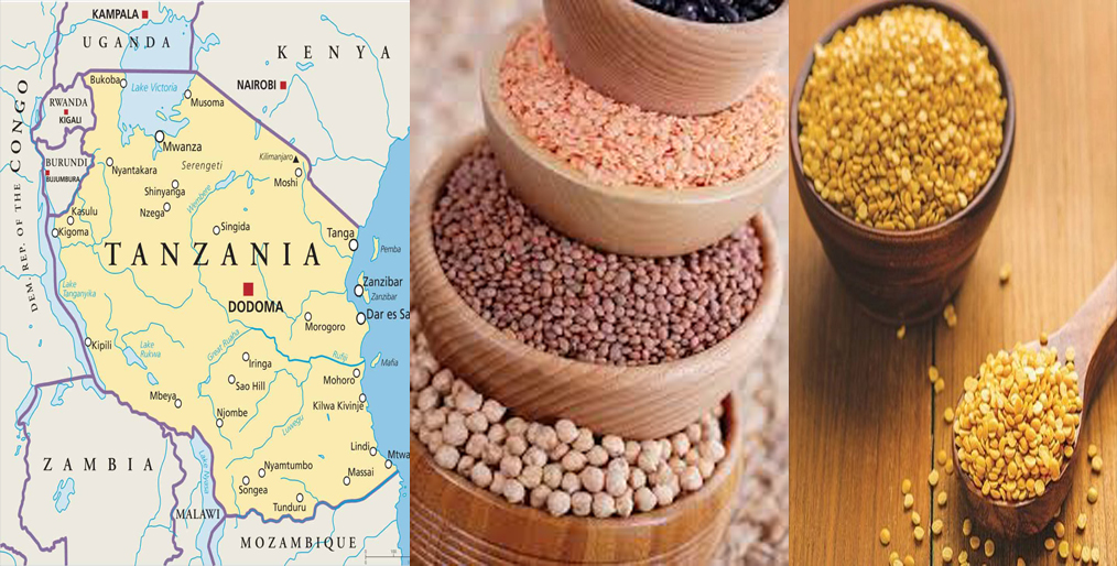 Competition in the Tanzanian Dal Sector