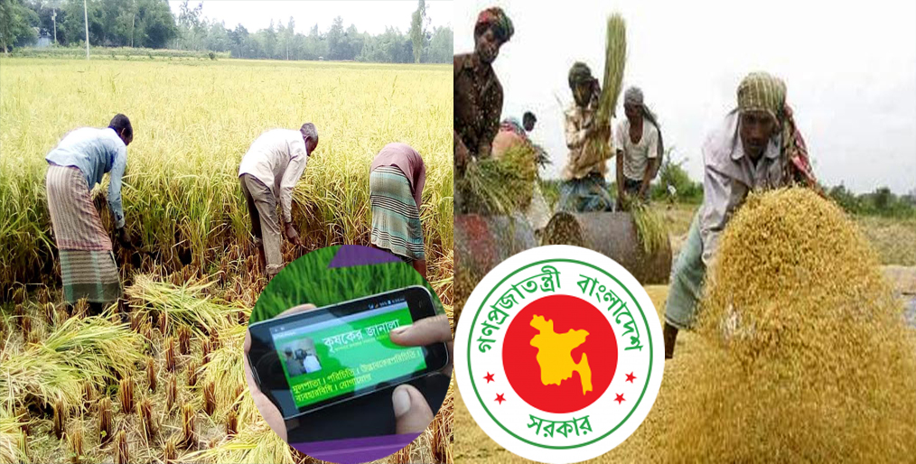 Bd govt will buy Boro through the app