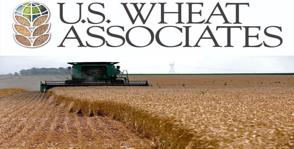 U.S. Wheat Associates Statement on Major Chinese Wheat Purchase