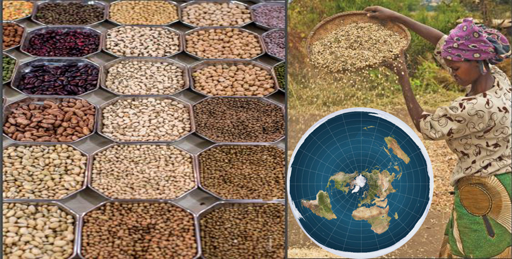 The Global Economy of Pulses