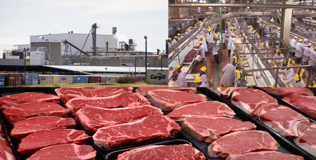 Cargill to temporarily idle Alberta beef plant...
