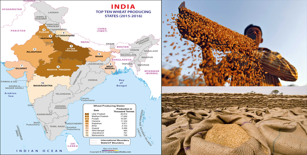 India calls for WTO's "peace clause" in connection with global wheat trade