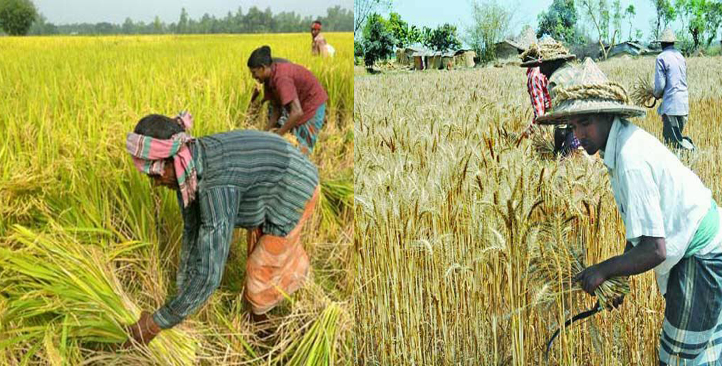 Interest on all loans to farmers is 4 percent