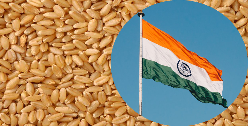 India will export wheat to Afghanistan in Lebanon under diplomatic agreement