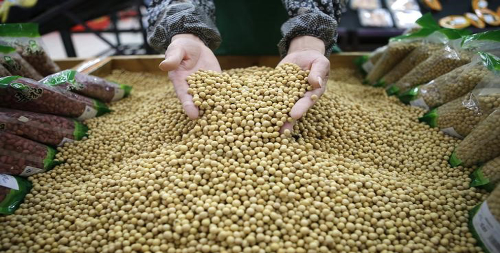 China is likely to increase its purchases of US farm products