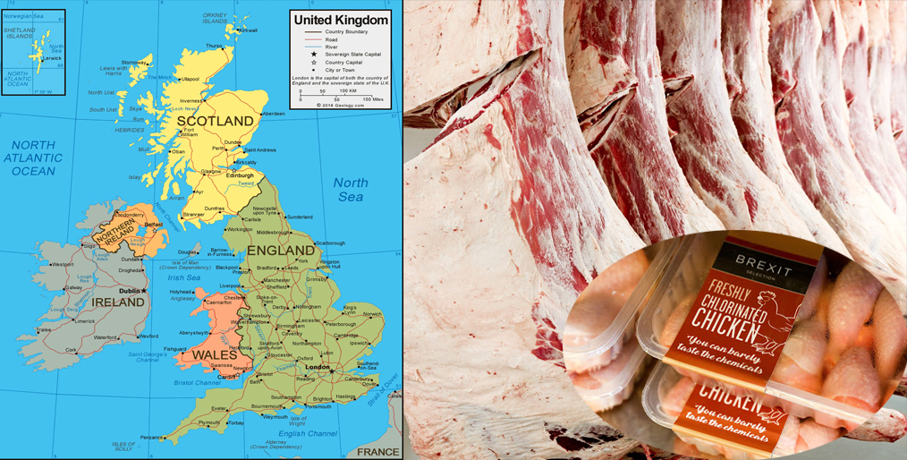 UK calls for ban on chlorinated chicken and hormone-fed beef