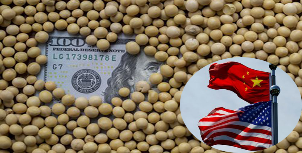 Soybeans falls from near 3-month high