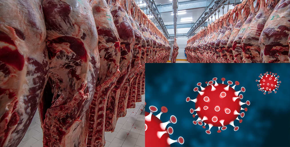 ‘China bans three meatpacking plants amid COVID-19 pandemic’
