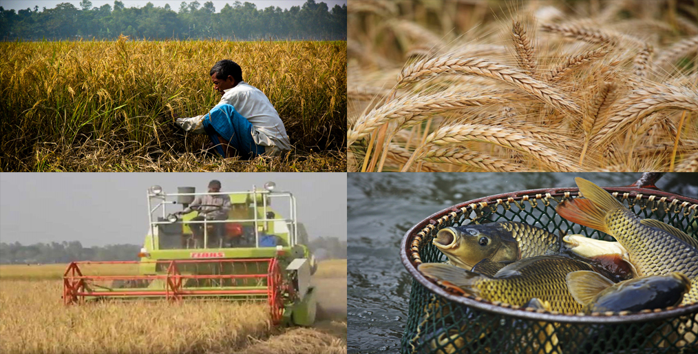 Agriculture sector got the second highest priority in the budget