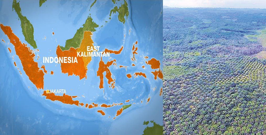 Indonesia plans to increase food security in Borneo