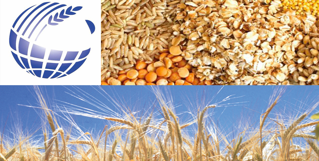 IGC'S Grain Market Report: June 25, 2020