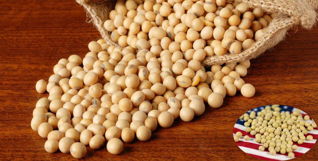 Chicago soybeans hovered near the 2-month high in response to strong demand