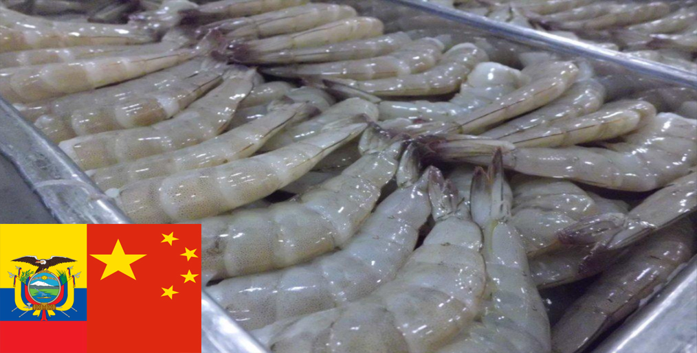 China suspends imports of Ecuador shrimp