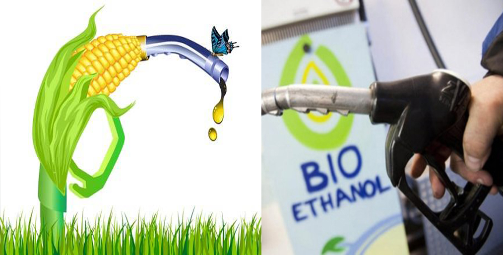 Demand for bio-ethanol is likely to recover