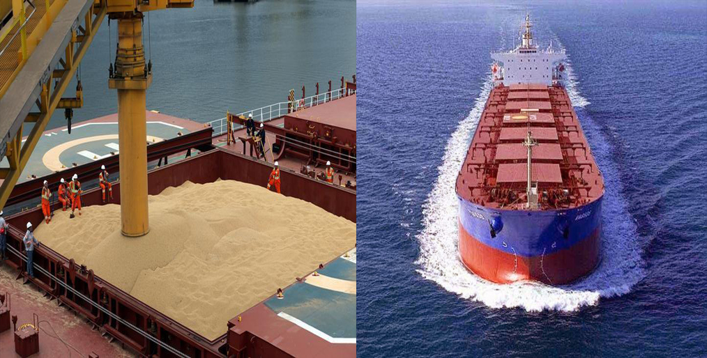 Soybean vessel to China increased in August