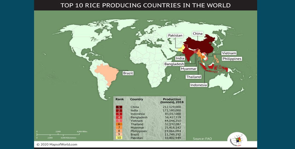 Take a look at the top ten rice producing countries in the world according to FAO data