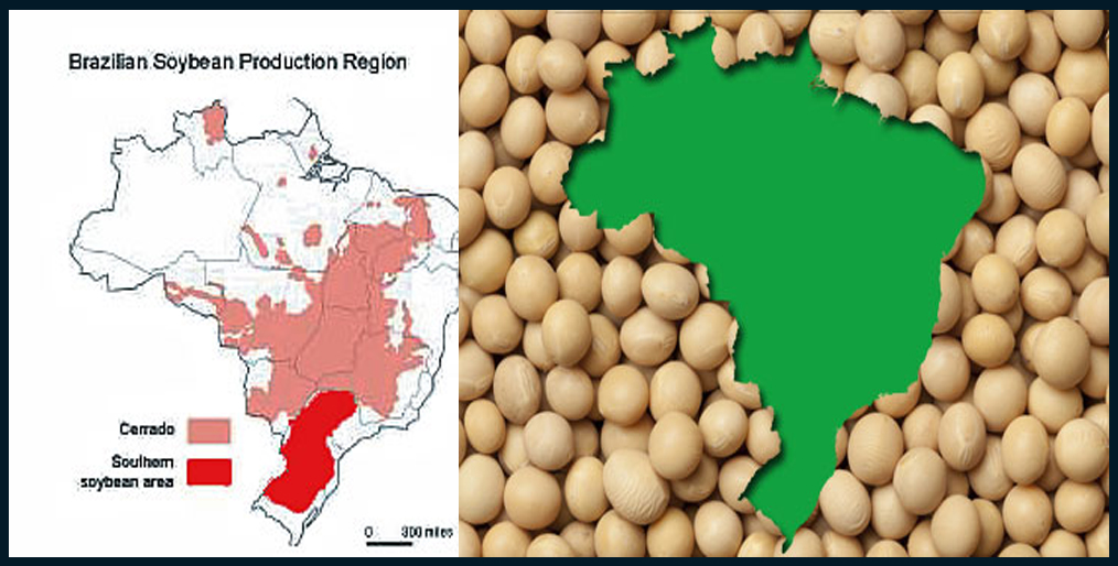 Brazil's soy frontier will grow rapidly in four years