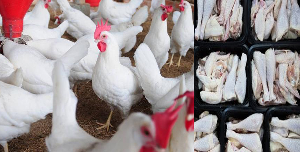 South African poultry producers have invested more than $60 Million in Expansion