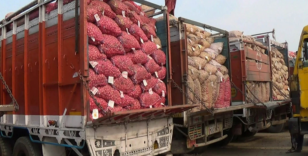 Importers are worried about the arrival of onions in the country
