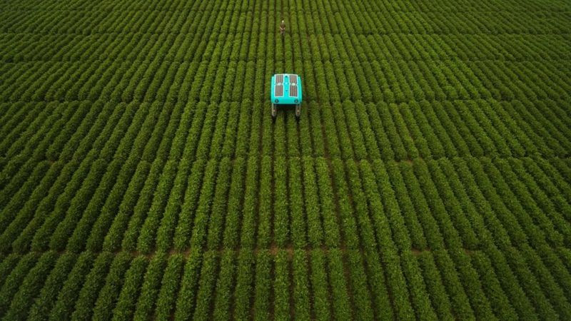 Google has released a mineral crop-inspection robot