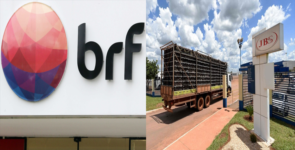 Brazil's BRF, JBS involved in higher feed costs, lower export premiums in Q3