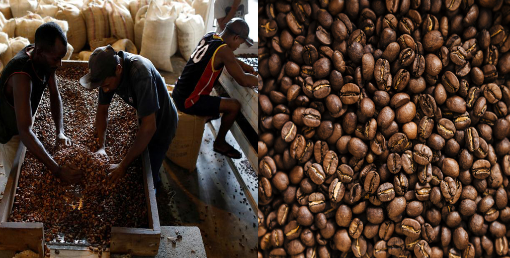 New York cocoa hit a 9-month high; Gains sugar and coffee