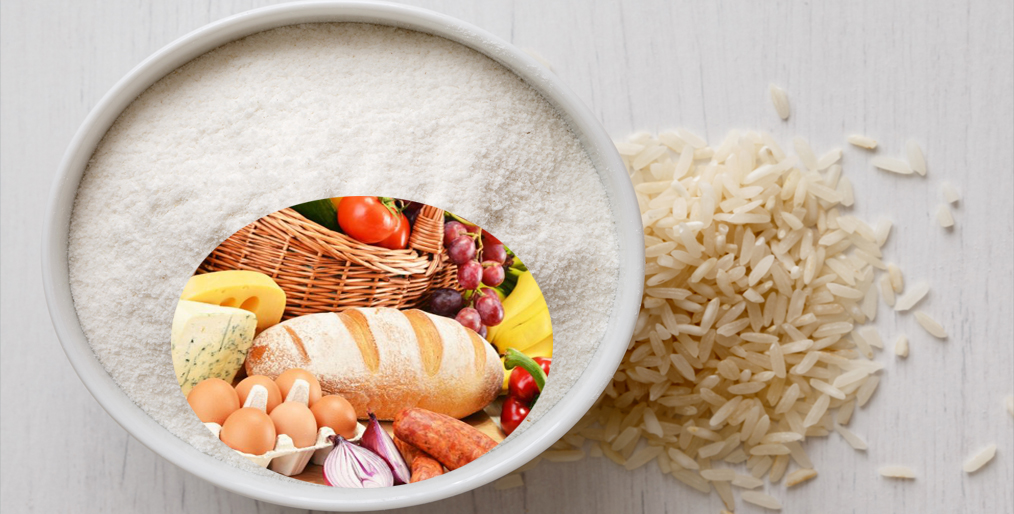 Call for modernization and increase foreign investment in the agricultural sector