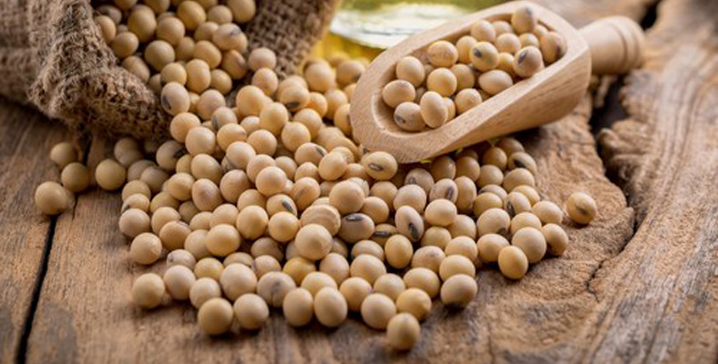 Soybean demand as 4-year high, dry Brazil weather support prices