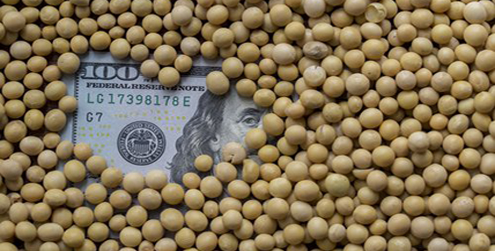 Soybeans have snapped a four-day rally, slipping from a high of more than 6 years