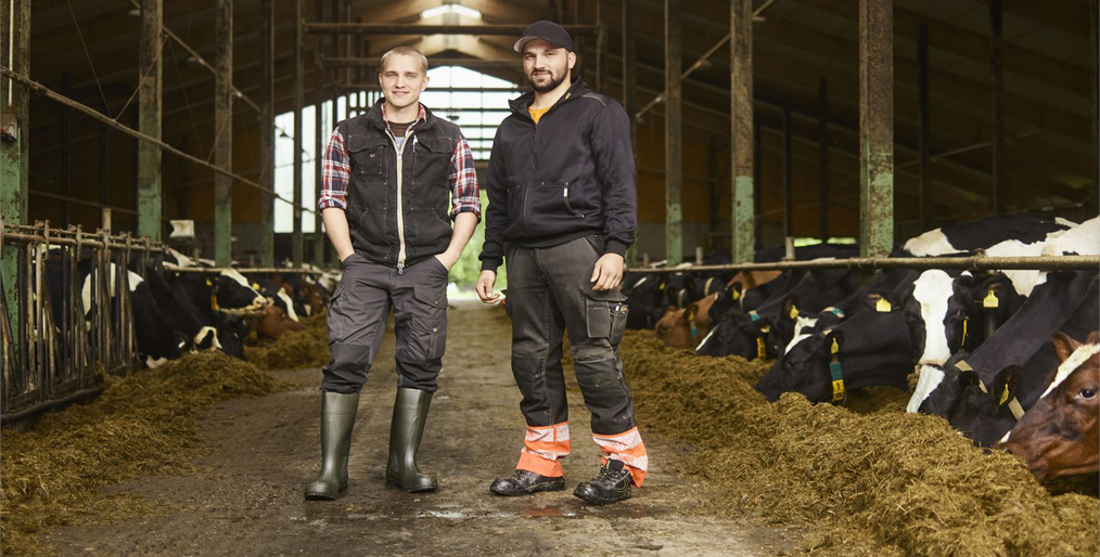 Brothers Erkka and Iikka Juntti run a Finnish family farm, what do they think about being a Valio dairy farmer?