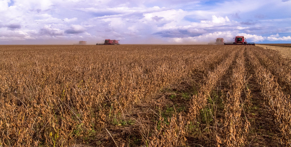 Brazilian soybean companies are committed to zero forest upstream from 2020