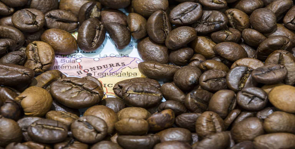 Exports of Honduran coffee fell by 18% in January due to the Corona epidemic