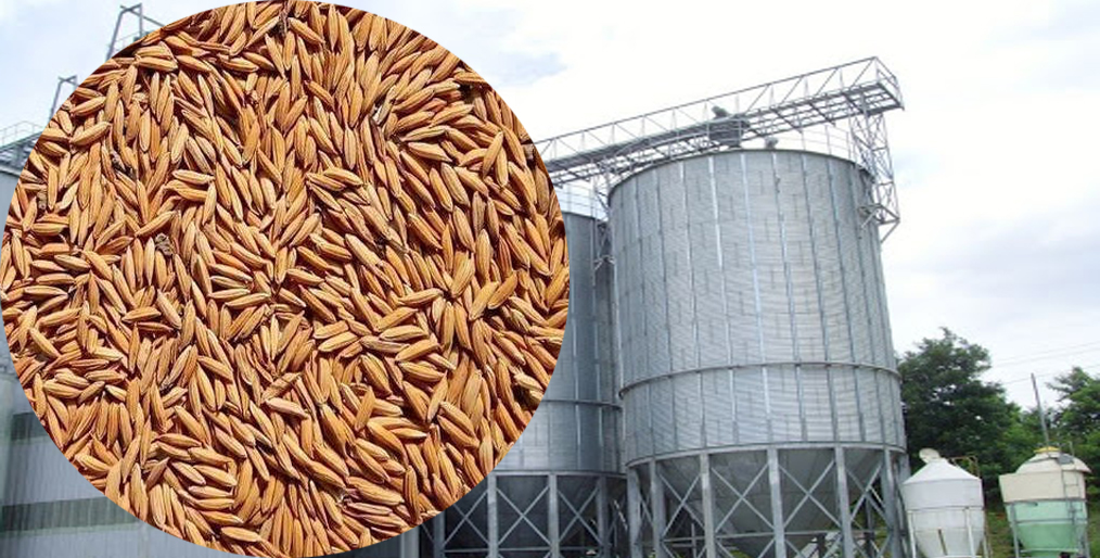 Recommendations for the safe storage of rice in a silo