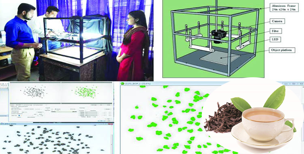 Researchers of Sylhet Agricultural University (SAU) innovated tea grading method