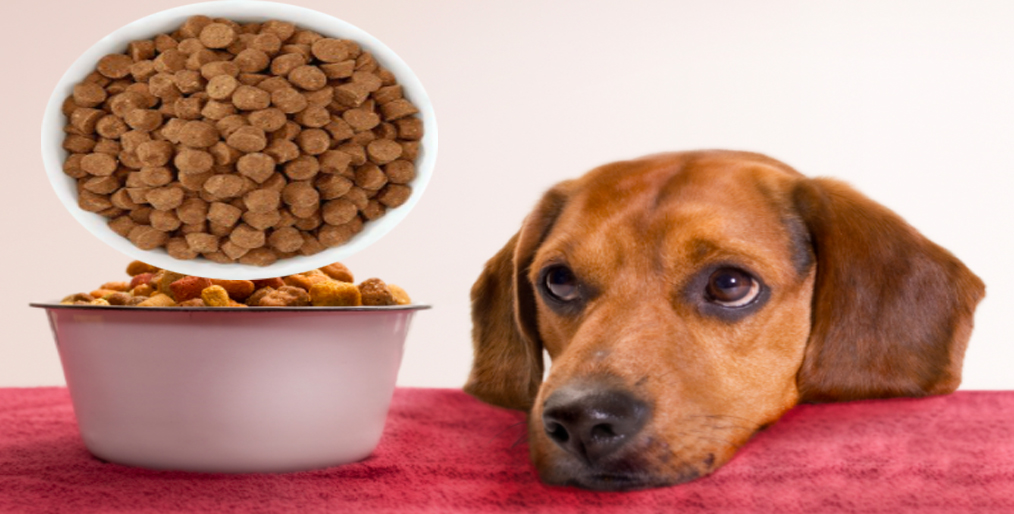 How big is China’s market for pet food?