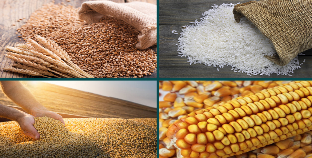 Grain Market Report : IGC, APRIL-2021
