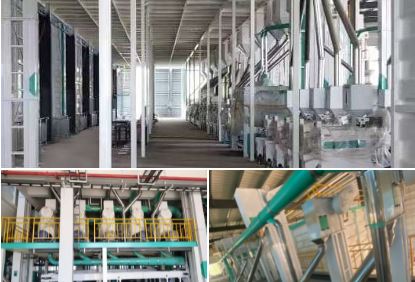 A 600TPD rice mill plant is currently under installation by COFCO Engineering & Technology