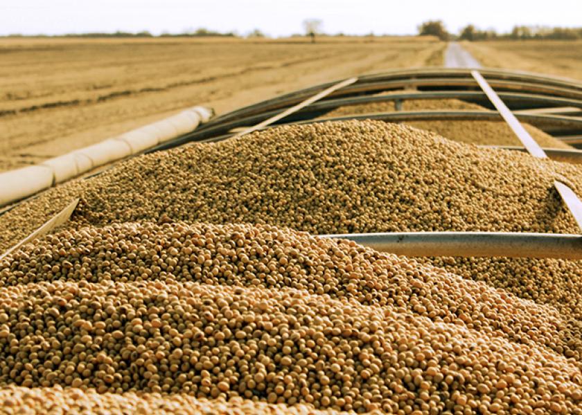 Soybean imports in China jumped 11.6% in June compared to May