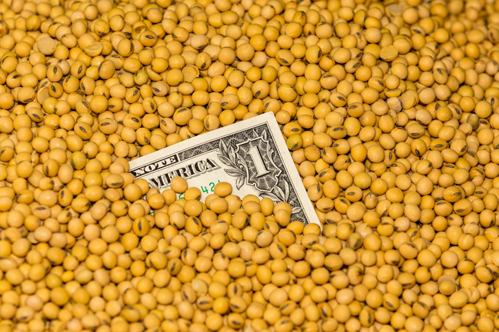 Soy, corn has set a multi-month high on S.American crop uncertainty