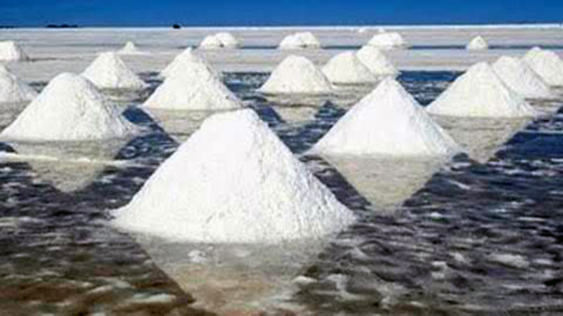 Two and a half lakh tons of salt is stored but still imported