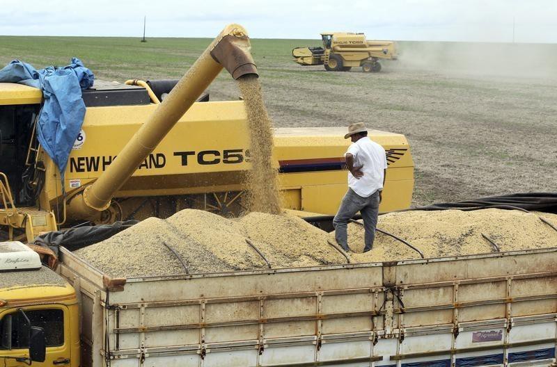 Russia is preparing to increase wheat export tax by 100 percent