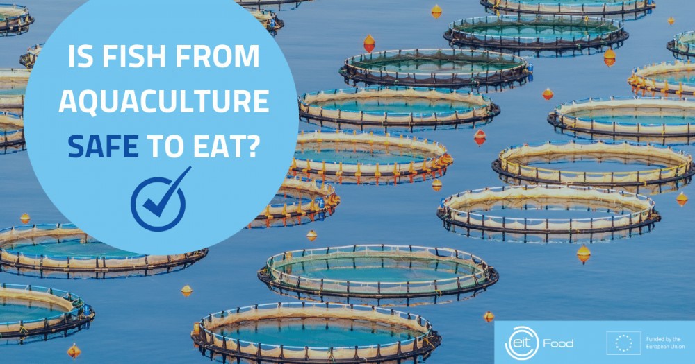 BAP is one of the most comprehensive certification systems for ensuring the sustainability of aquaculture products