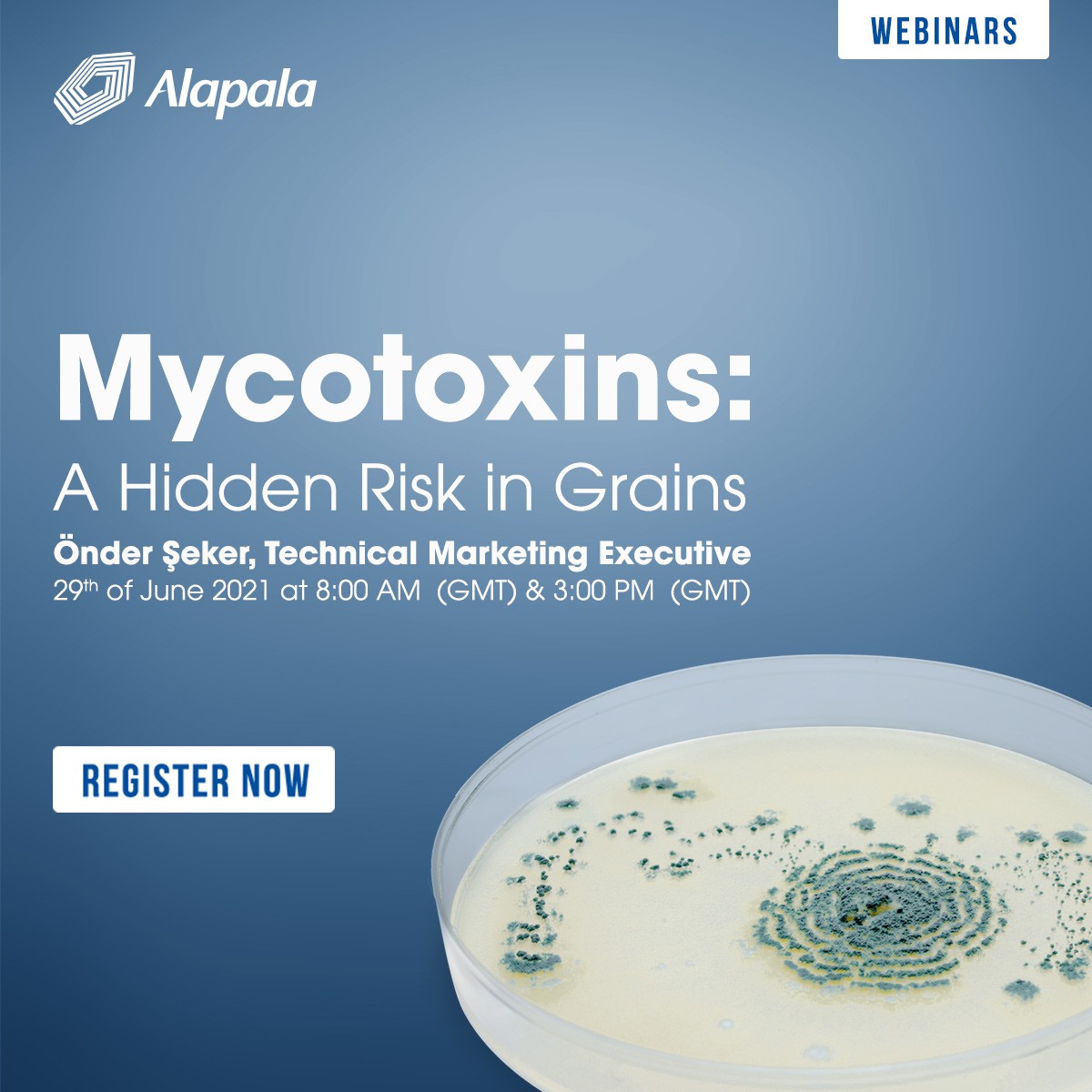 'Mycotoxins' seem to be a hidden risk in Grains!