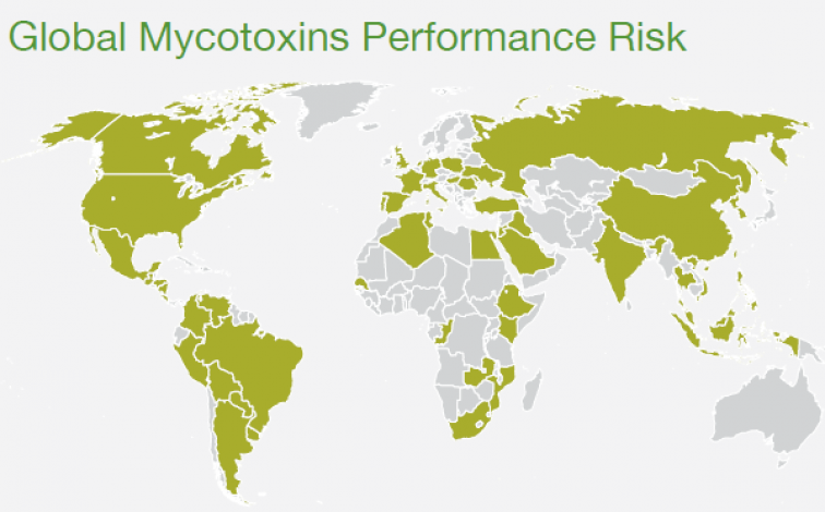 Cargill issues 2021 world mycotoxin report to give animal feed industry actionable insights to improve performance and health of their animals