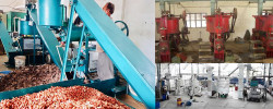 All you need to do is start a small scale oil mill business