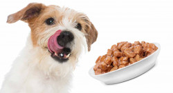 China reduced some measure on certain pet food imports
